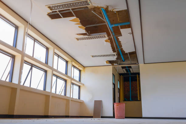 Best Water damage cleanup near me  in Aptos, CA