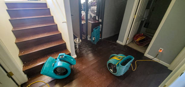 Best 24/7 water damage repair  in Aptos, CA