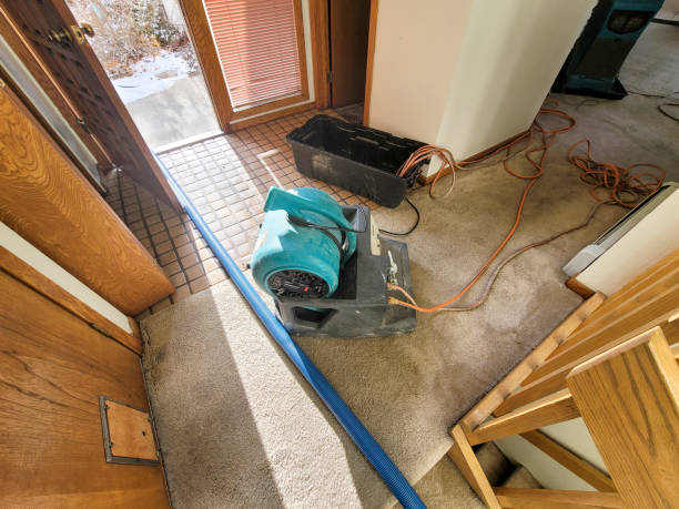 Trusted Aptos, CA Water damage restoration Experts