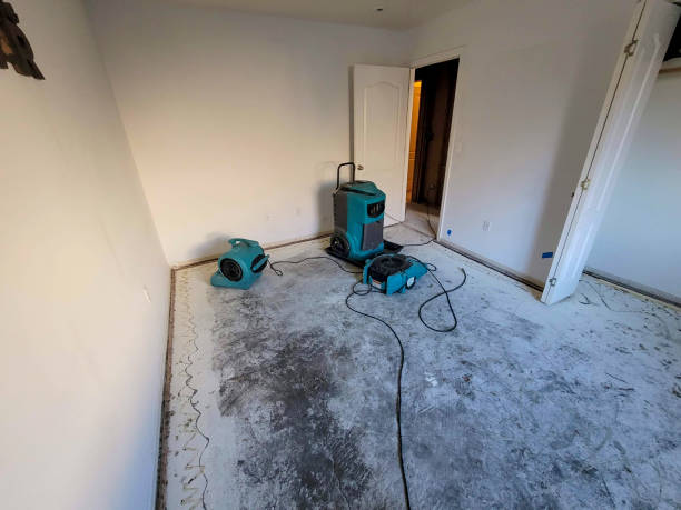 Best Flood damage cleanup  in Aptos, CA