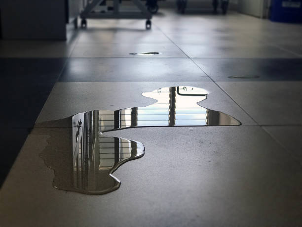 Best Local water damage restoration  in Aptos, CA