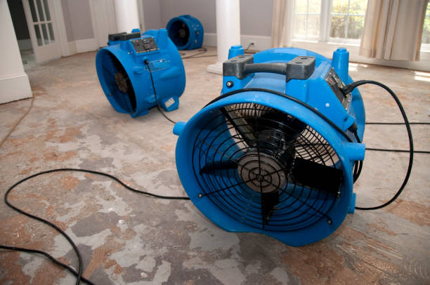 Best Commercial water damage restoration  in Aptos, CA