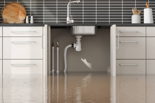 Best Flood restoration services  in Aptos, CA