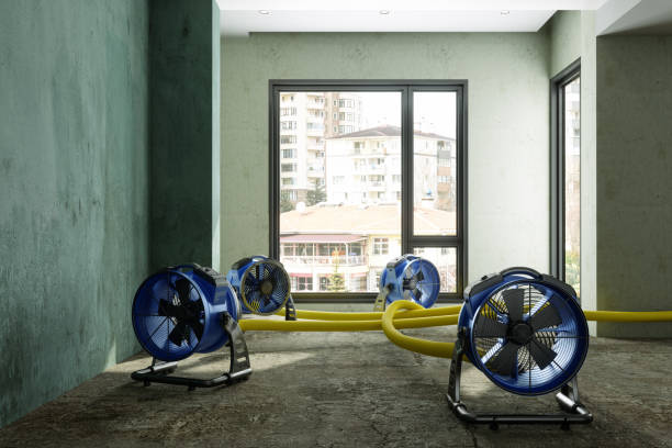 Best Professional water damage repair  in Aptos, CA